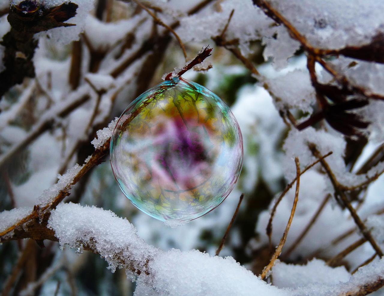 bulle de neige