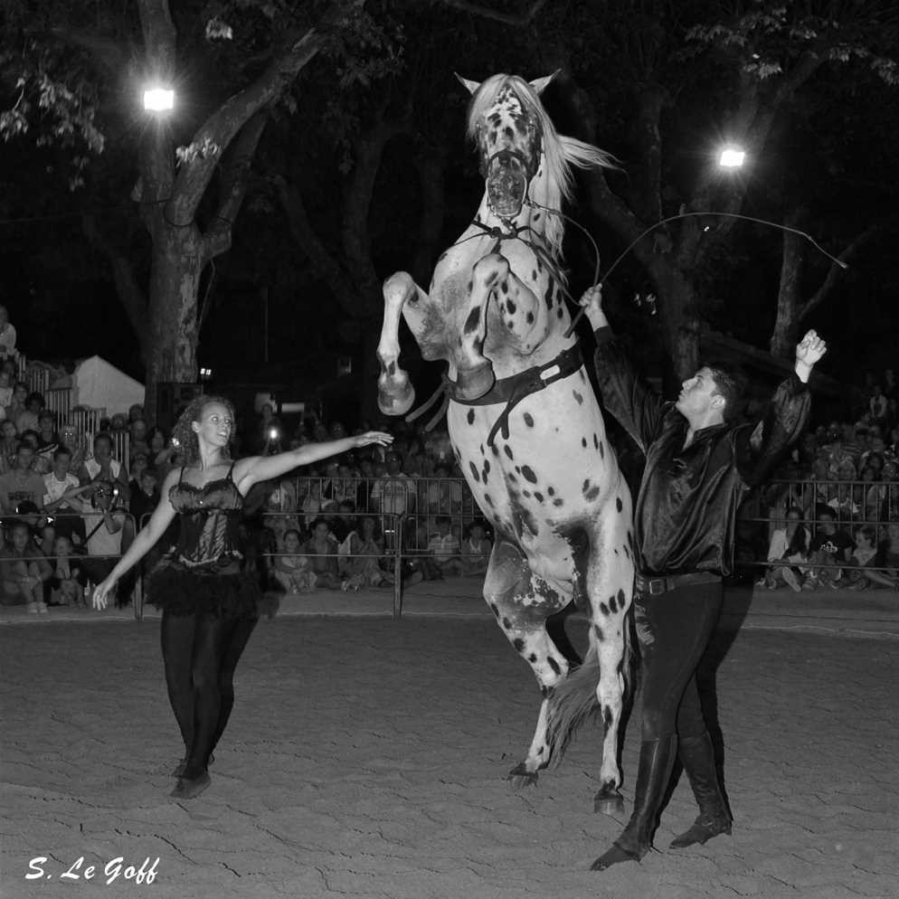 Criniere et burle spectacle