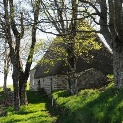 Ferme au toit de genêt