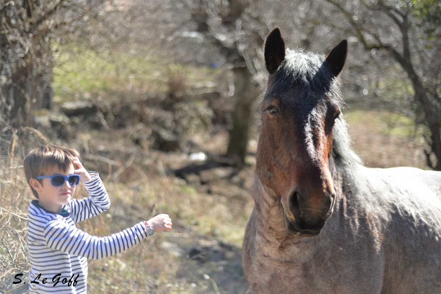 Garcon et cheval