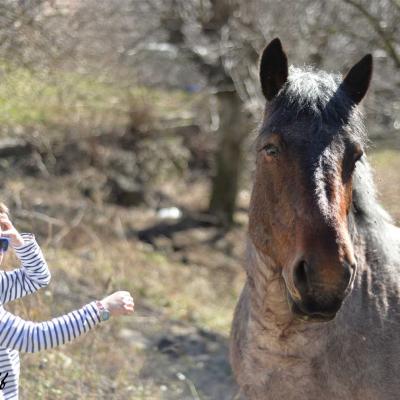 Garcon et cheval