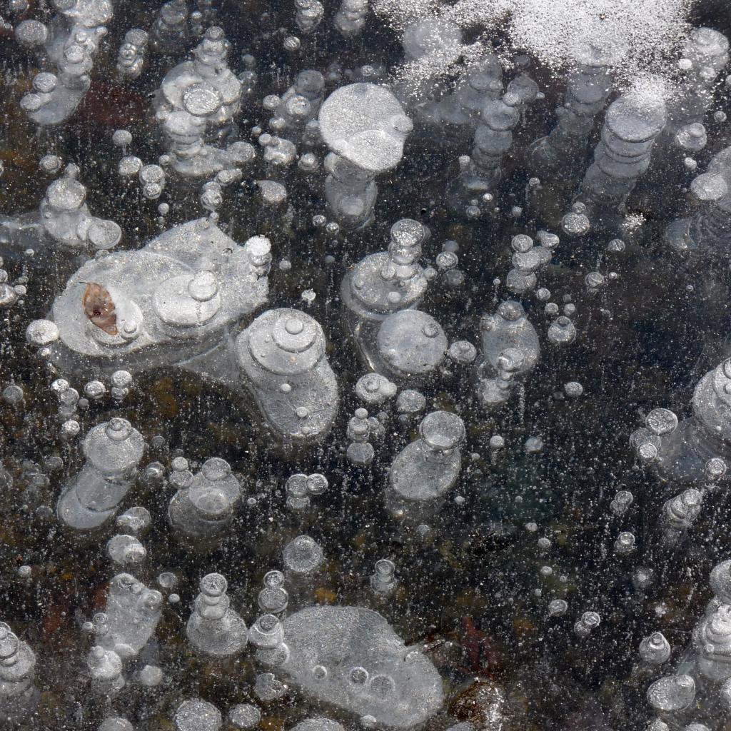 bulles de glaces