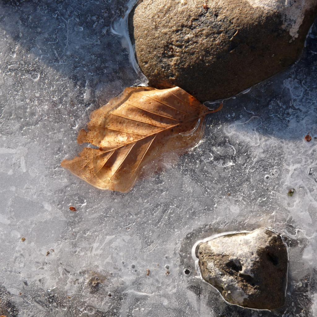 le lit de glace