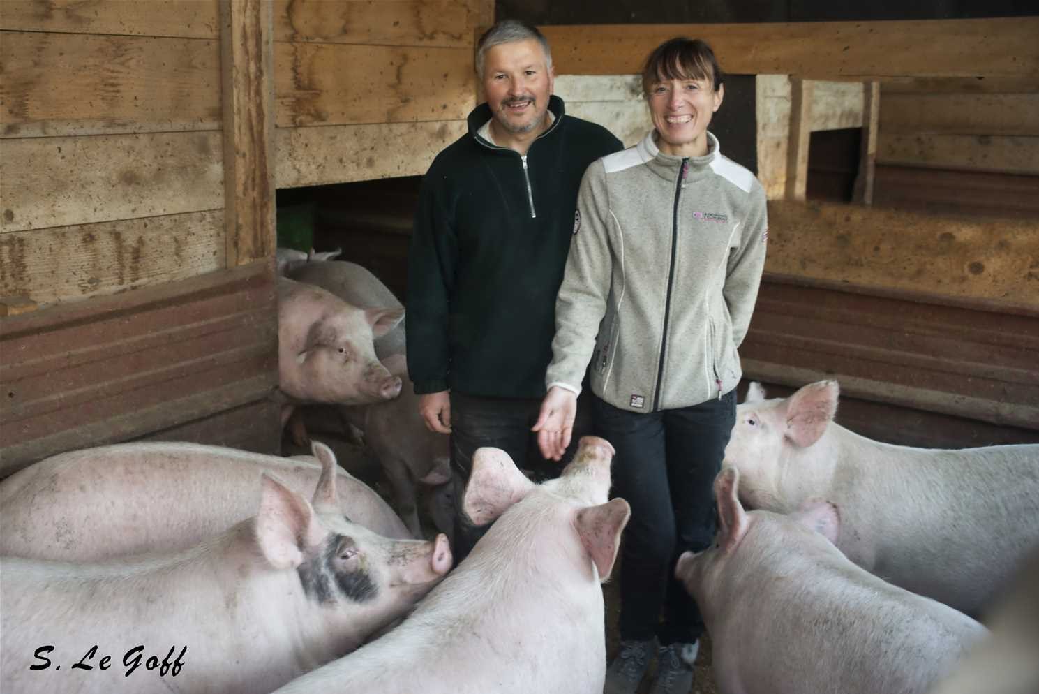 Paysans et leurs cochons