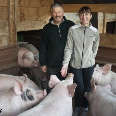 Paysans et leurs cochons