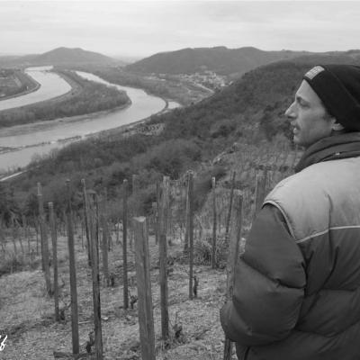 Vigneron